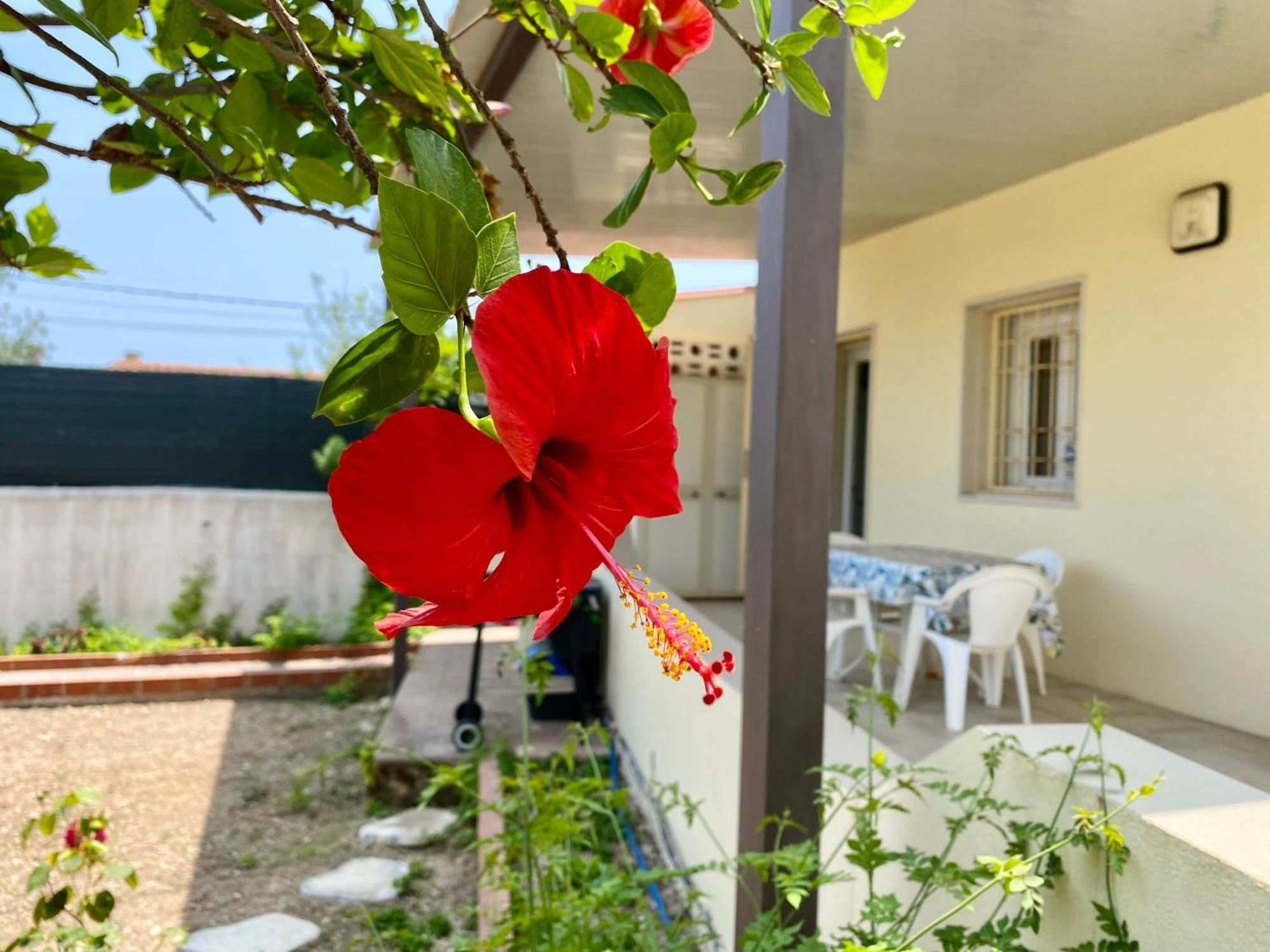 Viviholiday Calabernardo Buitenkant foto